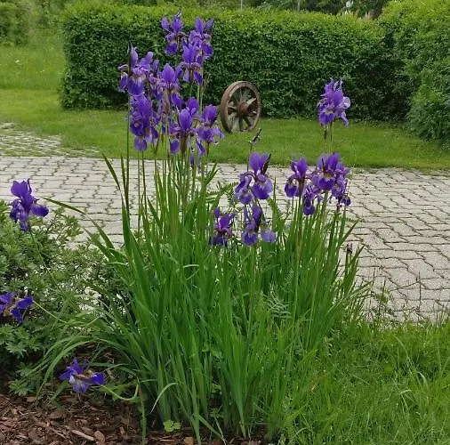 Nikolaus Und Evelyn Astner, 아파트